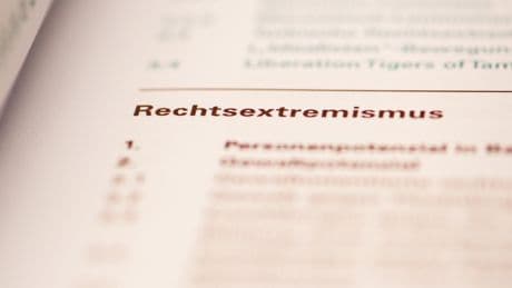 Warum die AfD für den Verfassungsschutz „gesichert rechtsextremistisch“ ist
