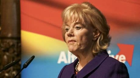 Ging bisher leer aus – AfD-nahe Stiftung fordert Staatsgeld in Millionenhöhe