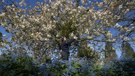Bank holiday weekend to bring cooler weather after hottest day of the year
