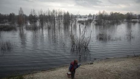 Les tourbières en Europe pour faire face aux blindés russes et au réchauffement climatique