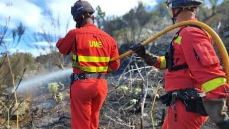 De la DANA al incendio pasando por volcanes o accidentes, todo sobre la UME: qué es, cuándo actúa, cuántos son, cuánto ganan...