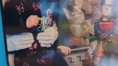 Missing 7-year-old girl in Chilliwack prompts huge search