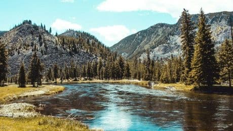 Yellowstone, il parco da sogno tra orsi e sorgenti termali: ecco dove sono morte 7 persone (tra cui una milanese)