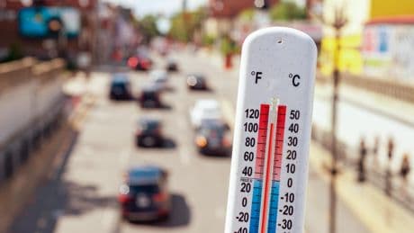 Canicule : vigilance orange ce vendredi dans cinq départements du Sud-Ouest et du Centre-Est