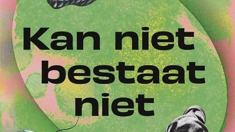 De kunst is het verhaal