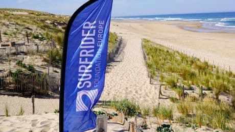 Les vigies des mers, découvrez 6 associations qui défendent la vie marine