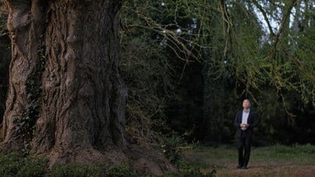 “Silent Friend”, un albero osserva l’esistenza umana in tre epoche diverse