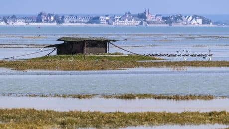 Baie de Somme, château de Chantilly... Dans les Hauts-de-France voici les sites incontournables