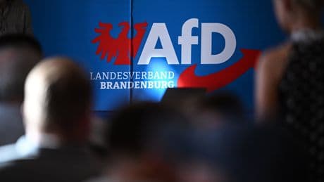 Brandenburgs Verfassungsschutz - AfD-Hochstufung vorerst ausgesetzt