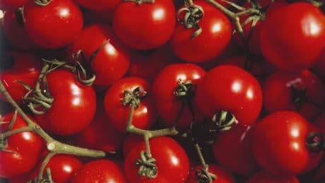 Täglich Tomaten essen: Was in unserem Körper passiert