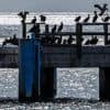 Wetteraussichten: Es wird kühler, bleibt aber sommerlich