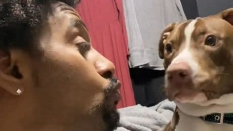 Veterinarios de todo el mundo se movilizan contra la crueldad animal en redes sociales