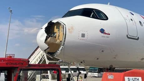 Iberia: Airbus muss nach Vogelschlag Start abbrechen und landen