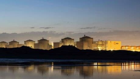 Frankreich: Quallen legen größtes Atomkraftwerk Gravelines lahm