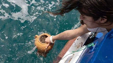 This Underwater Sculpture Garden Protects Italian Fishing Grounds