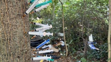 50 Spritzen im Baum: Kreuzbergs Kinder in Gefahr!