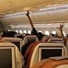 Passenger's chilling video 'shows 'nothing working' from air con to TV screens on doomed Air India jet hours before Gatwick-bound flight crashed in deadly fireball'