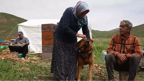 Ağrılılar gözden kaçırdı Ordulular sefasını sürdü! 3 kardeş fark etti aylarca dağlarda yaşıyorlar