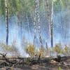 Trockenheit: Hohe Waldbrandgefahr in sieben Landkreisen in Brandenburg