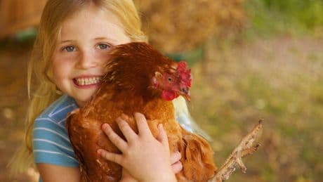 How to make most of Open Farm Sunday for a bargain day out with the kids