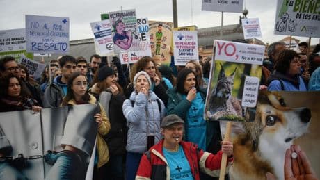 Protesta de los veterinarios contra el decreto que limita sus atribuciones profesionales