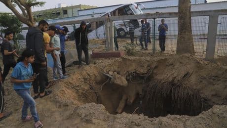 Gaza: Israël annonce la mort de Mohammed Sinwar, considéré comme le chef du Hamas