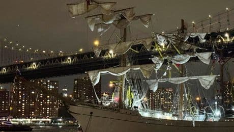 ‘We saw someone dangling’: Injuries reported as ship hits New York bridge
