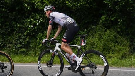 Una avispa aparta a Ayuso del Giro
