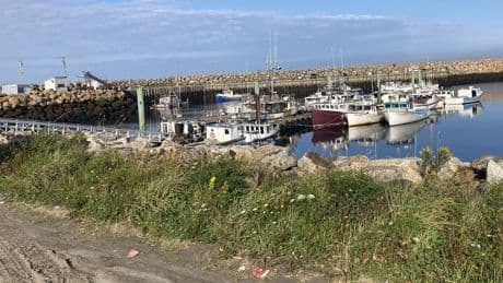 Terror, violence and organized crime: Inside the lawless East Coast fishery