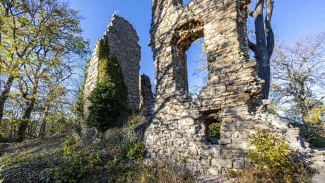 Ausflug ab Braunschweig: Burgruine Stecklenburg im Harz als Familien-Tipp