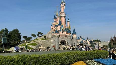 Faux mariage à Disneyland : le commanditaire britannique incarcéré