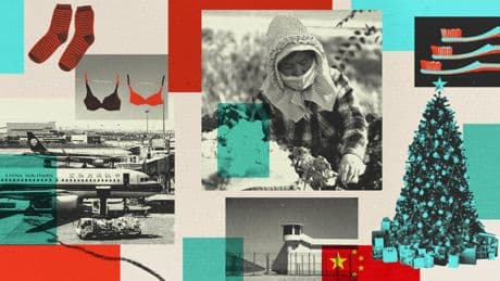 UK’s £800m ‘slave labour’ China imports revealed – from bras to lawnmowers