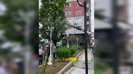 Rize'de 100 yıllık ağaç kesildi