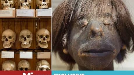 Inside the human remains museum with preserved bodies and woman turned into soap