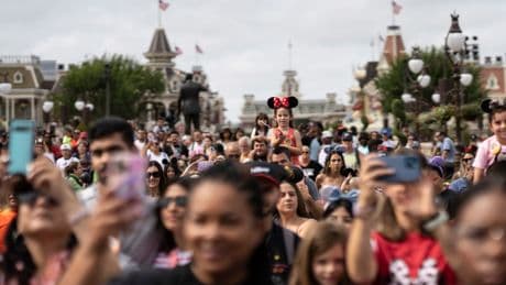 Disney adults say judgment from their own community hurts more than jeers from the haters
