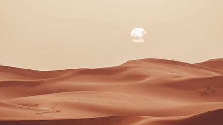 L'Agence française de développement prévoit d’investir 150 millions d'euros au Sahara occidental