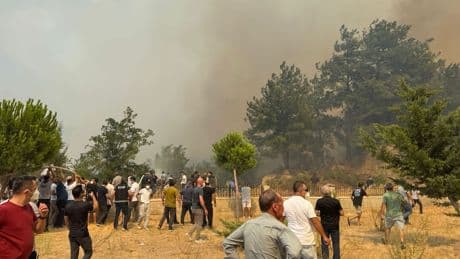 Çanakkale'deki orman yangını büyüdü! 5 köy boşaltıldı