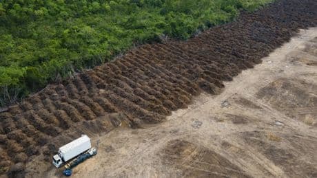 Brasilien: Amazonas verliert in 40 Jahren Fläche größer als Spanien