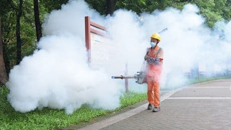 CDC issues China travel warning over chikungunya virus outbreak