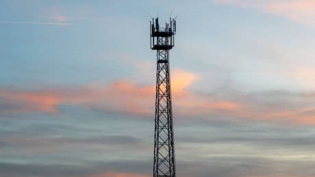 Ausfall in ganz Deutschland: Nutzer melden Störungen im Mobilfunk