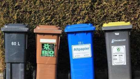 Statistik: Haushaltsmüll in Sachsen-Anhalt bleibt unter Corona-Niveau