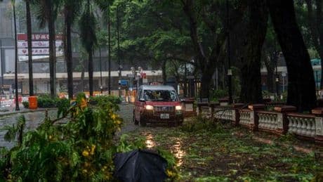 En images, typhon Wipha : de nombreux arbres déracinés et plusieurs échafaudages effondrés à Hongkong