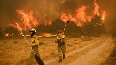 14 incendios de alto nivel siguen activos en Galicia, Castilla y León, Extremadura, Asturias y Valencia