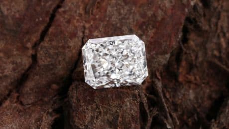 États-Unis: une New-Yorkaise découvre un diamant brut de 2,3 carats dans un parc naturel