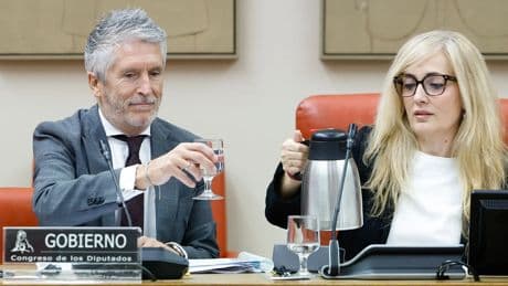 Marlaska pide en el Congreso apoyo al pacto frente a la emergencia climática: "La sociedad nos demanda consenso y compromiso"