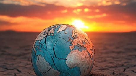 Un megaestudio confirma que la dieta planetaria también puede evitar enfermedades y permite vivir más años