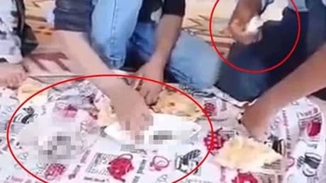 4 çocuğa hayvan dışkısına yediren kişi gözaltına alındı