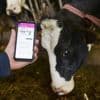 Fuite à l’étranger, risque de spéculations… Le Big Data agricole, ce nouvel or si peu encadré