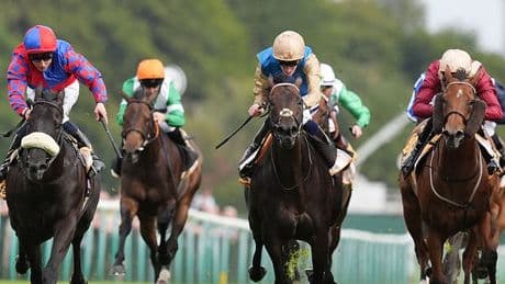 Horse racing goes on STRIKE: 'Catastrophe' looms with sport to hold first voluntary blackout in protest at tax hike