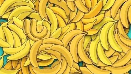 Can you spot the hidden animal in this banana brainteaser? Only high IQs can solve it